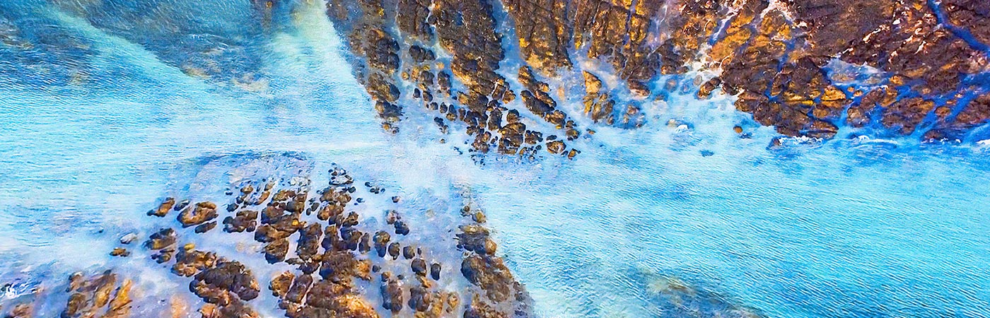 Scott Booth - Atavistic